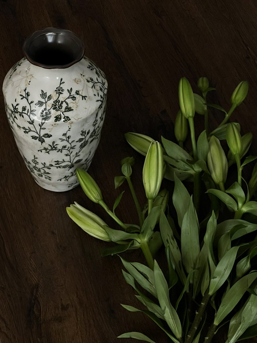 lu_oud's tweet photo. My pretty little lilies🤍 https://t.co/qtGbvRy9rx