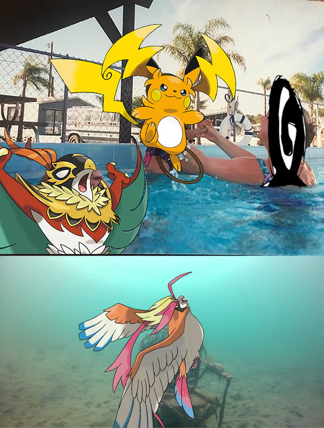 DarkSword710's tweet photo. @SerebiiNet RIP Pidgeot, couldn't even dream of getting Focus Miss

Meanwhile Raichu Y has that AND ZAP CANNON https://t.co/Sq2PK4i787