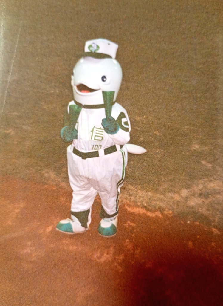 coffeetakashima's tweet photo. 1999年頃の中華職棒(台湾プロ野球)の和信鯨隊。李来発さん(南海ホークス)が監督で山内一弘さん(かっぱえびせん)がコーチ、アレックス・カブレラ(西武ライオンズなど)が在籍してた時代です。ちなみにこのマスコット、よく頭を外しては休んでいました😅 https://t.co/FXBPIJPgGR