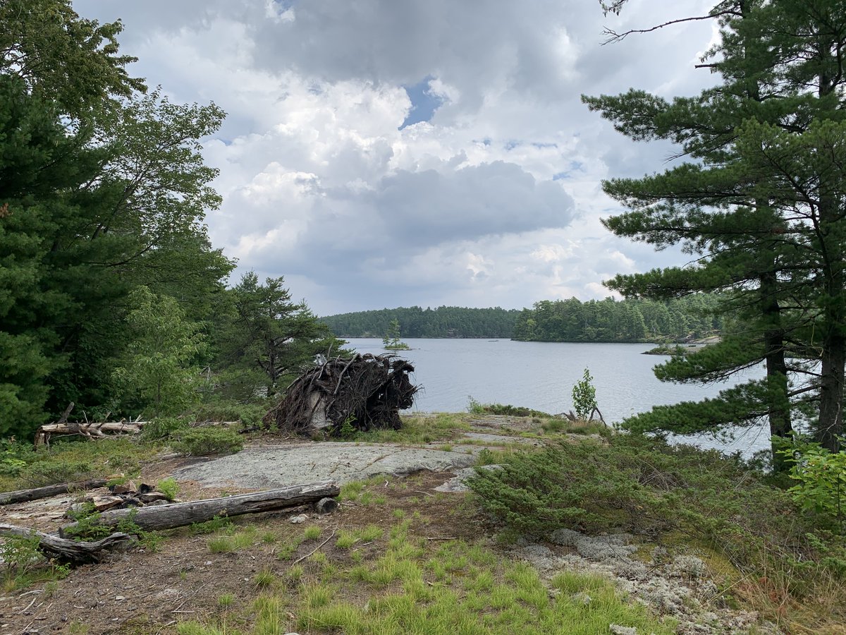 frenchriverpp's tweet photo. 🔍🌊 Welcome back to #DiscoverFrenchRiver!🌊🔎

This week we’re at the park’s eastern edge, where #LakeNipissing meets the #FrenchRiver-Site 100 🛶

Open rock shores, easy landing, peaceful vibes. Perfect for slowing down and soaking it all in. ☀️🌊 https://t.co/9cXOPa14zJ