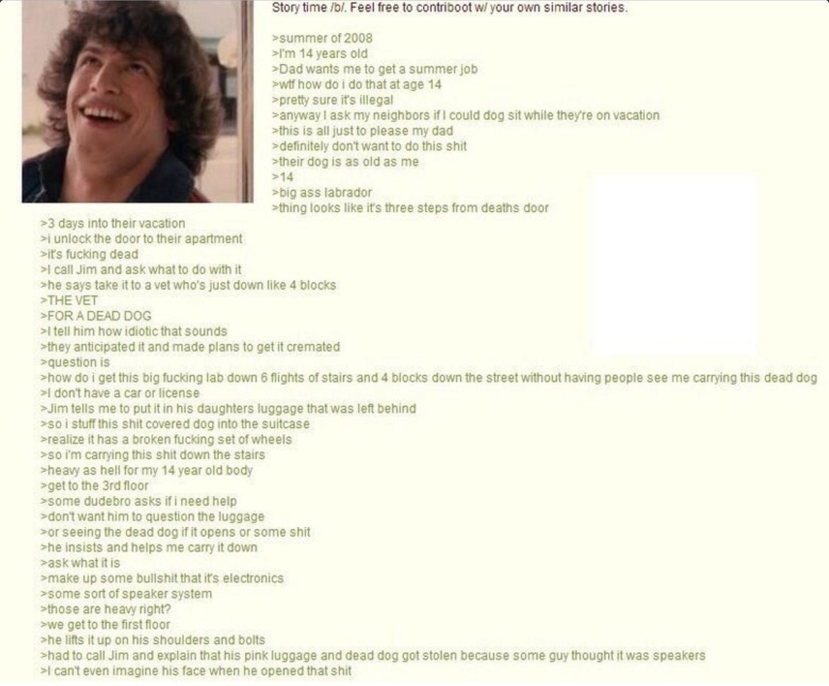 jack226RE's tweet photo. @b0newalljackson "He doesn't have a greentext about dead dogs being in suitcases, that's also the funniest fuckin greentext in the world, does he???" https://t.co/HFe2wxyGpW