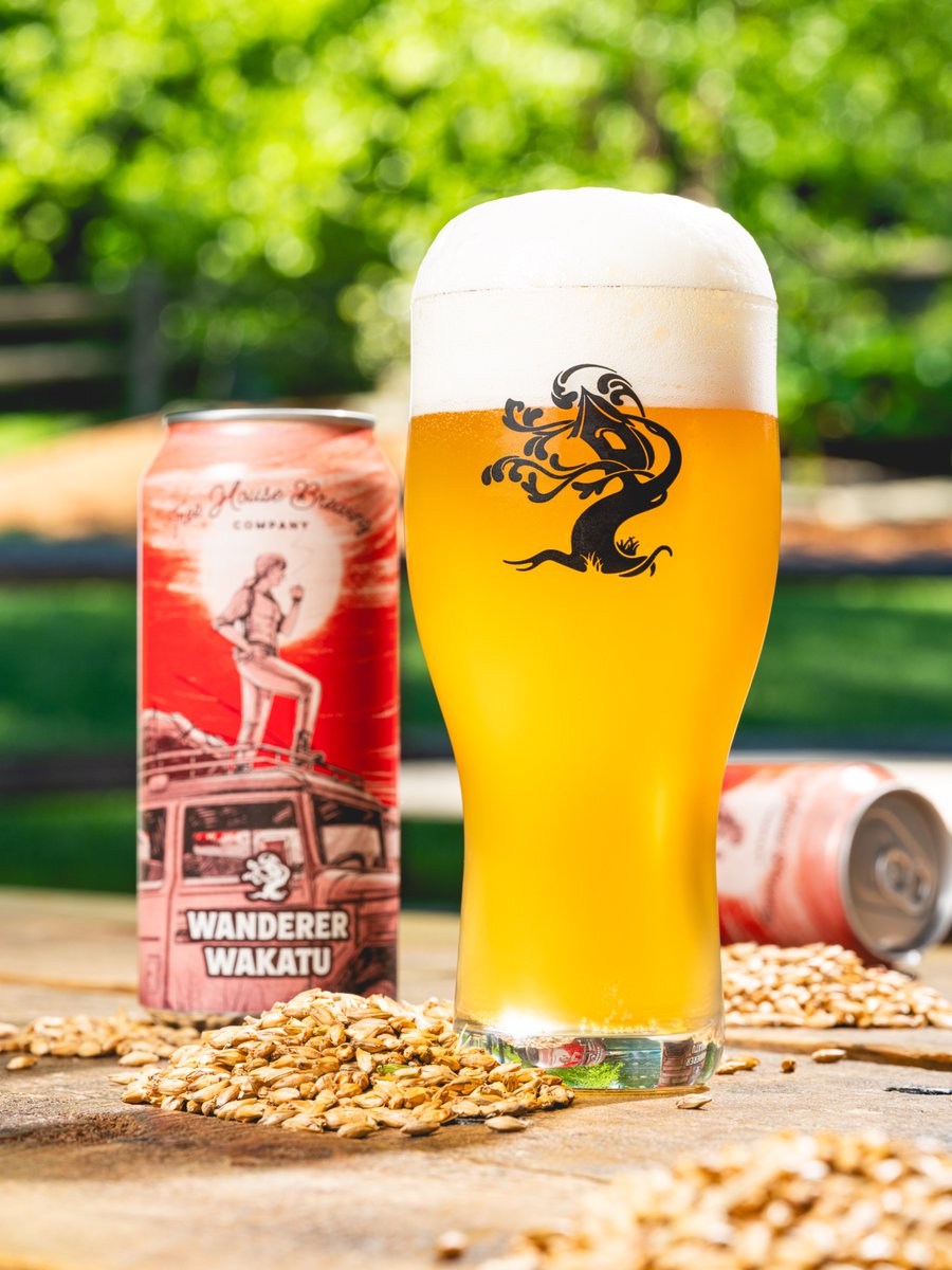 TreeHouseBrewCo's tweet photo. Wander Wakatu is our dry-hopped Helles that pops with intense notes of lime zest and floral spring flowers. The ever-crispy, yet formidable malt character of a Helles is the perfect canvas to showcase singular hop character!

It might seem unusual to dry-hop a traditional German beer with New Zealand hops, but Wakatu actually has noble hop origins. When it was first introduced in the late ’80s, it was known as Hallertau Aroma. 

Wakatu carries unmistakable New Zealand tropicality but is delicate enough that it’s a wonderful addition to classic lagers. It’s worth noting that this incredible and slightly underutilized hop’s name comes from the Māori word “Whakatu,” the true name of the Nelson region where so many of our favorite hops come from.