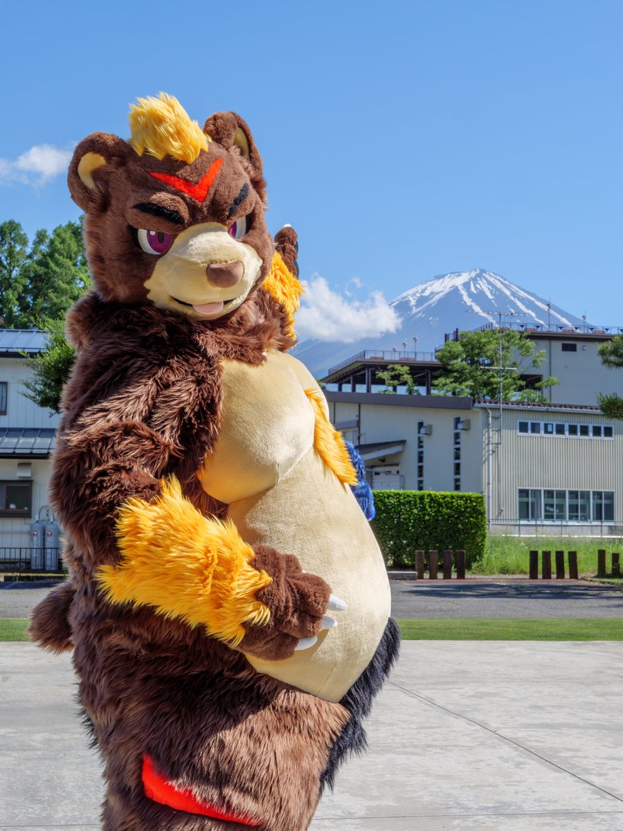 danii114514's tweet photo. 富士山がきれいだったぞ✨🗻
#FursuitFriday
#TDOC9 https://t.co/JelUhU7hUW