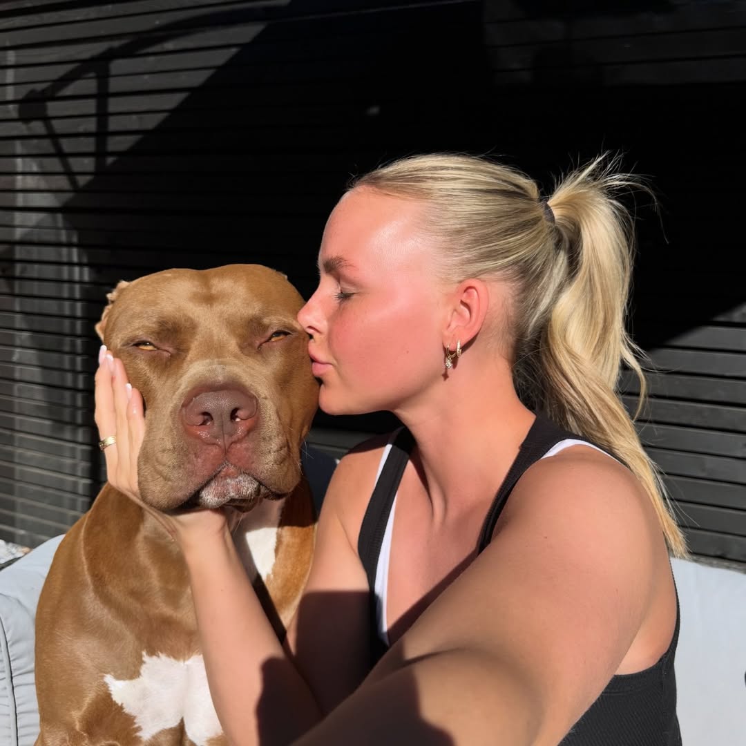DannyDark2004's tweet photo. Proud dog mom🐕 #dogmother #dogs https://t.co/WlmbFPWQKw