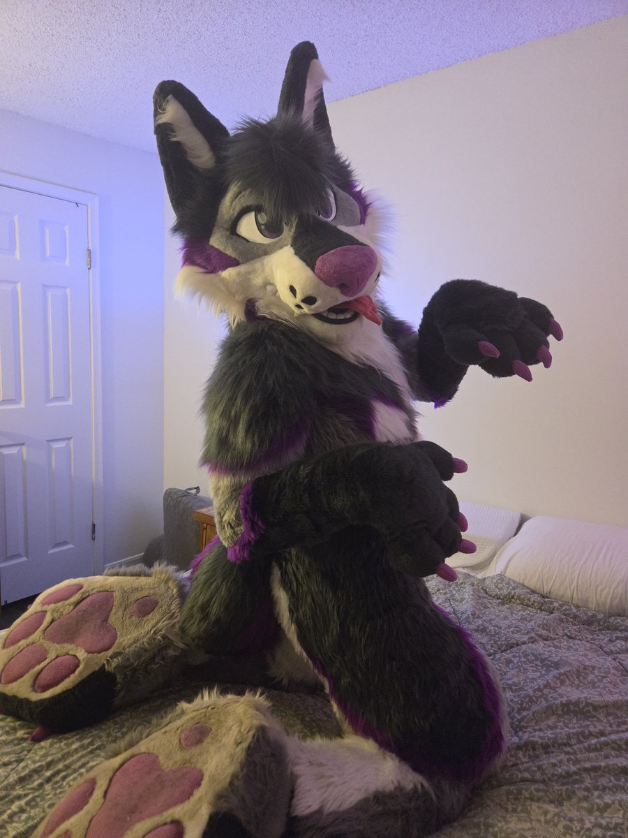 daz_vega_'s tweet photo. Arf?? 🐺 
📷 @_harpertea 
🧵 @TwistedLeopard https://t.co/jGEpsR3iED