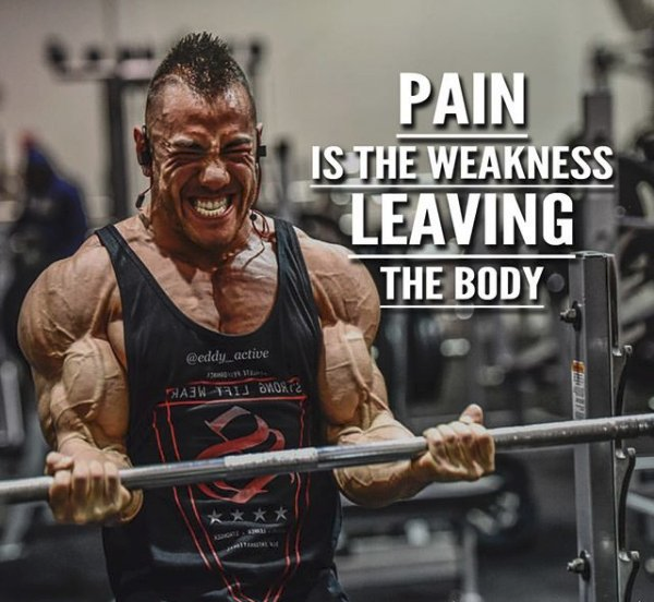 FiveFitness's tweet photo. The pain you experience in the gym is preparing you for a better tomorrow. It's kicking out all the weak areas of your body. The harder you work, the easier it will become during your next session..     

#Motivation #Gym #NoPain #Workout #Grind #Progress https://t.co/uQHn9LpY3l