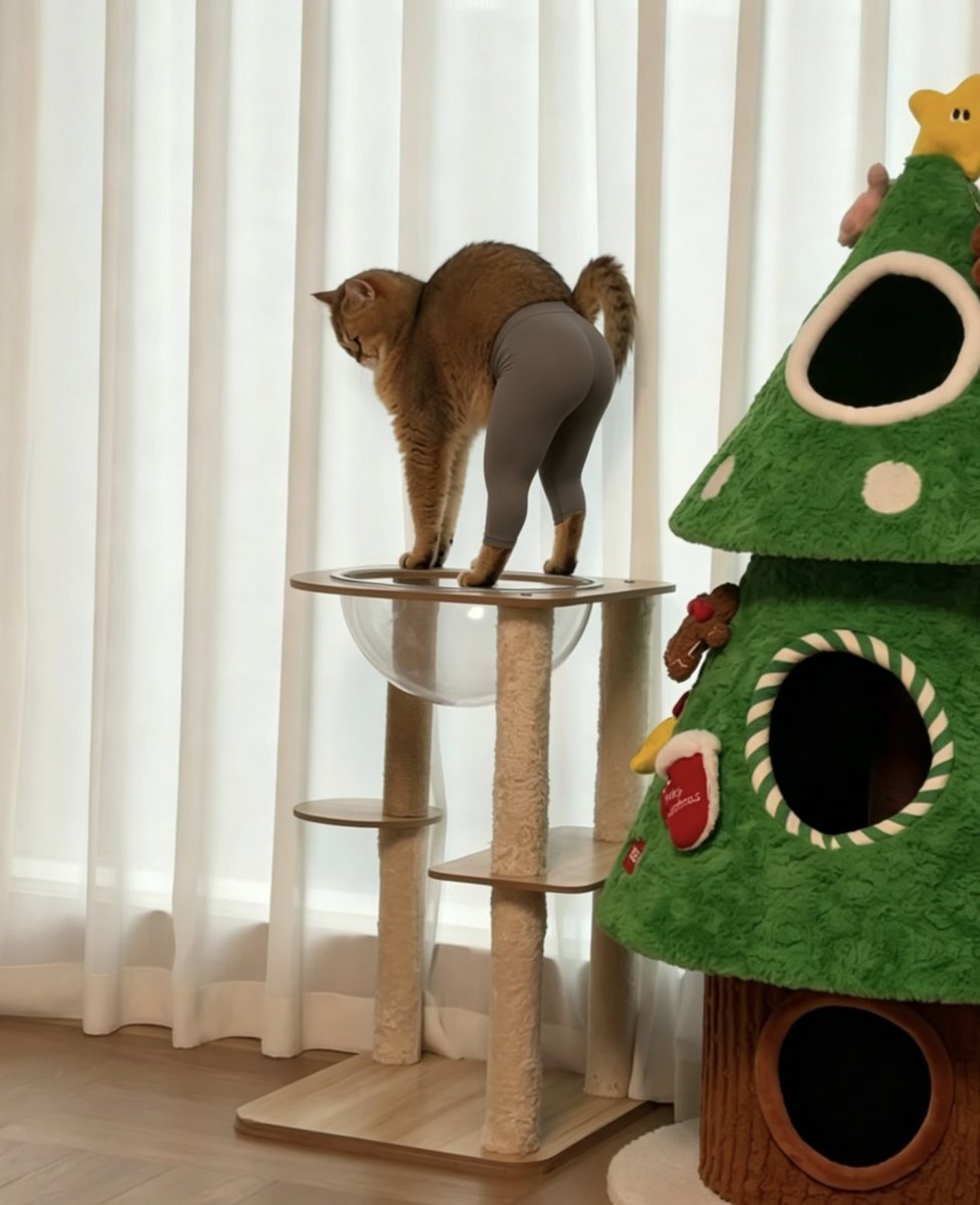 ｸｾなるﾆｬﾝ🐈のび〜〜〜ぃ✨