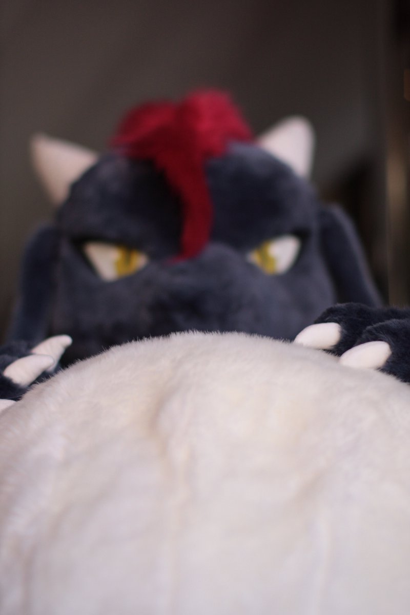 blast_dragoon's tweet photo. お腹の上にいるチビ…
旨そうだな
腹の足しにならなそうだけど
#FursuitFriday https://t.co/Kqwy7M2Kw3