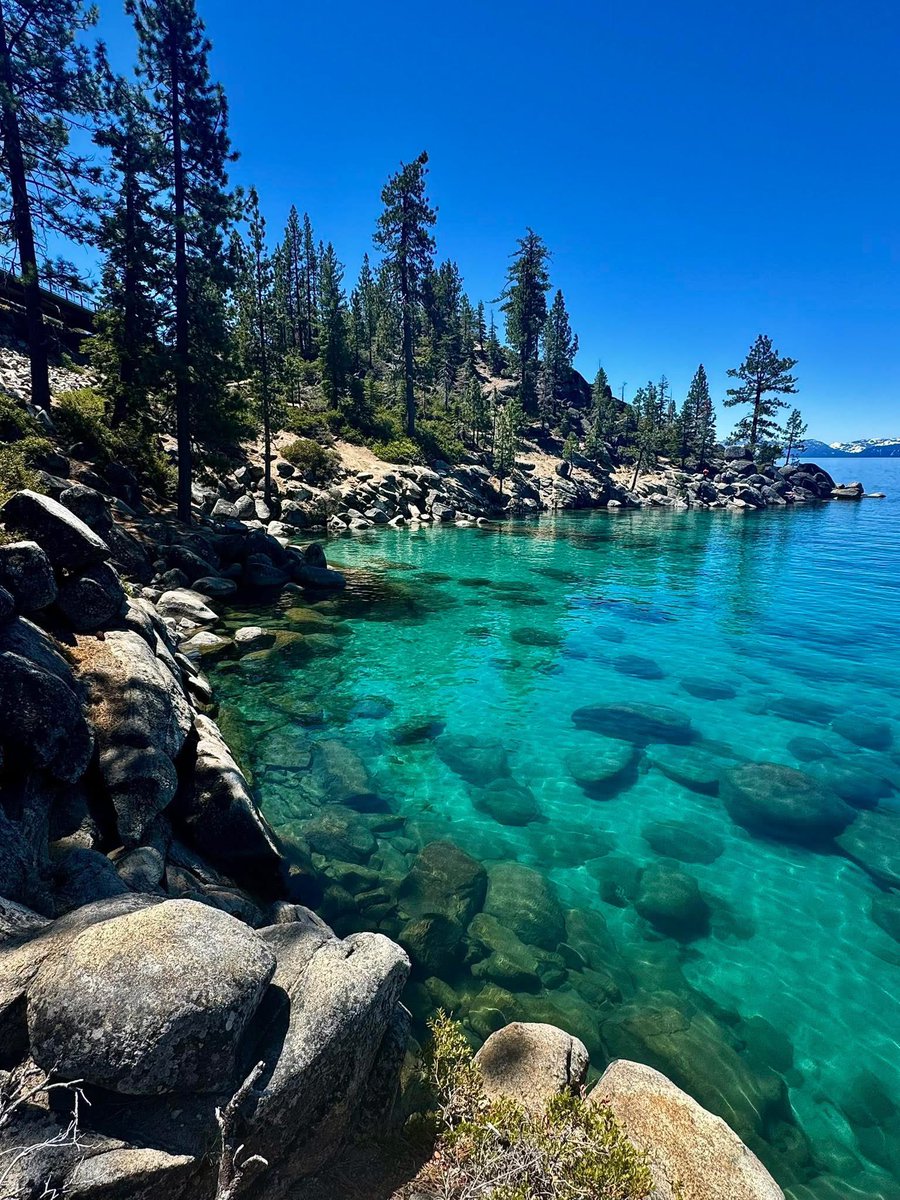 JimHammond24220's tweet photo. @DNichols_1990 Tahoe time. Let’s do it! https://t.co/RebiwyAfVN