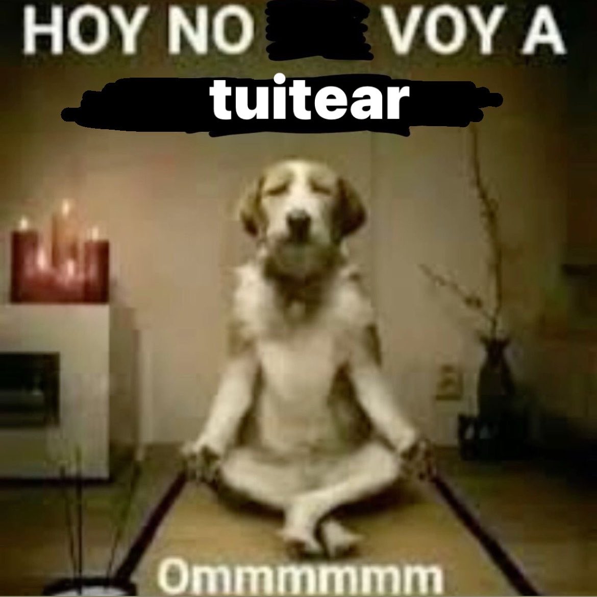 rawnaomii's tweet photo. maxima concentración https://t.co/Irq4chPHG3