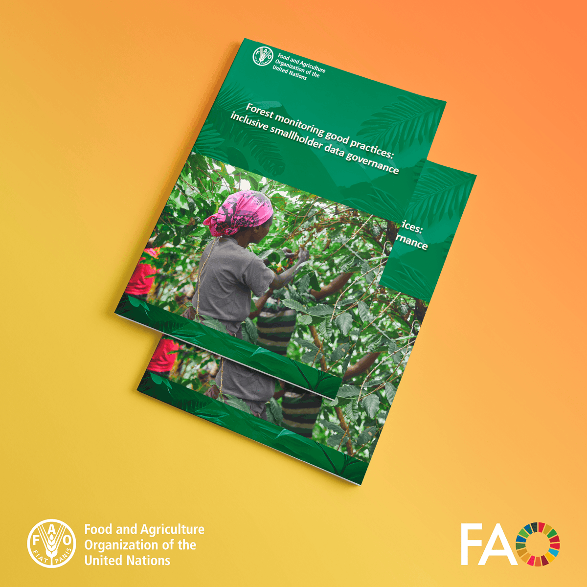 FAOForestry's tweet photo. 📢 New from @FAO at the #GeoField Convening 🌳🛰️

Two publications on forest monitoring good practices:

✔️ Mapping tree crop commodities
✔️ Inclusive smallholder data governance

Read more 👉 https://t.co/UsJjlxHFGg https://t.co/umsY4l8BYh