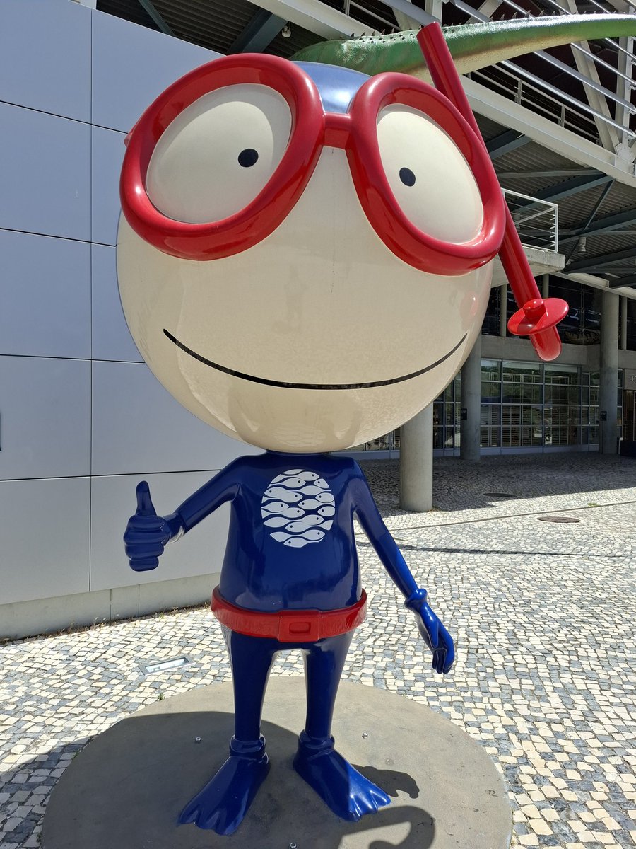 Defence360's tweet photo. Fomos no 🇵🇹 @OceanarioLisboa dar um abraço nos peixes e amigos. https://t.co/HHVb4VcnGh