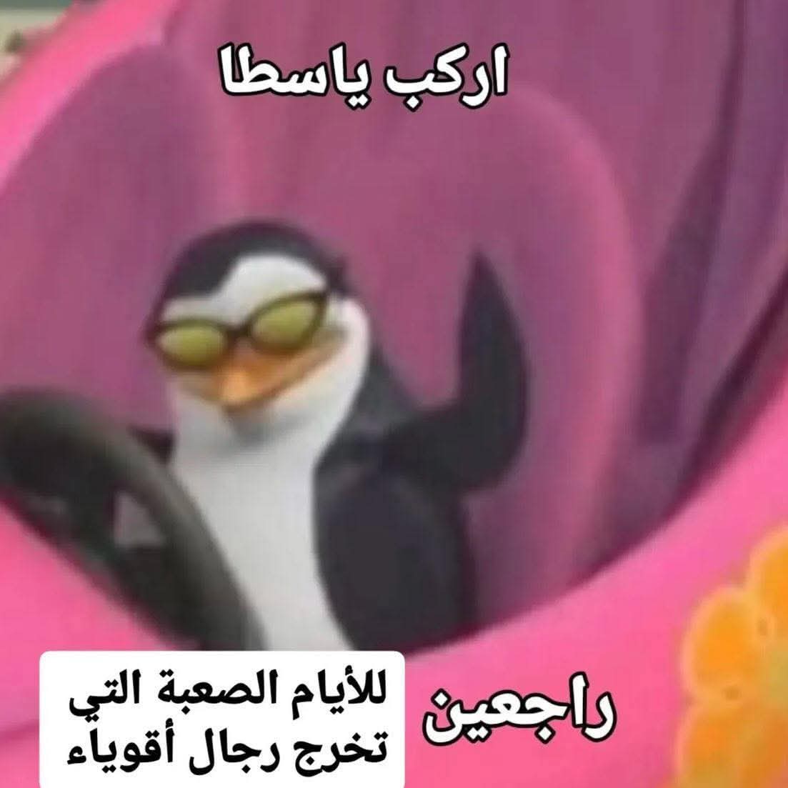 Tri_Ka22's tweet photo. يوم العودة 
وداعاً للأكل والمرعى وقلة الصنعة https://t.co/68CPzhkof0