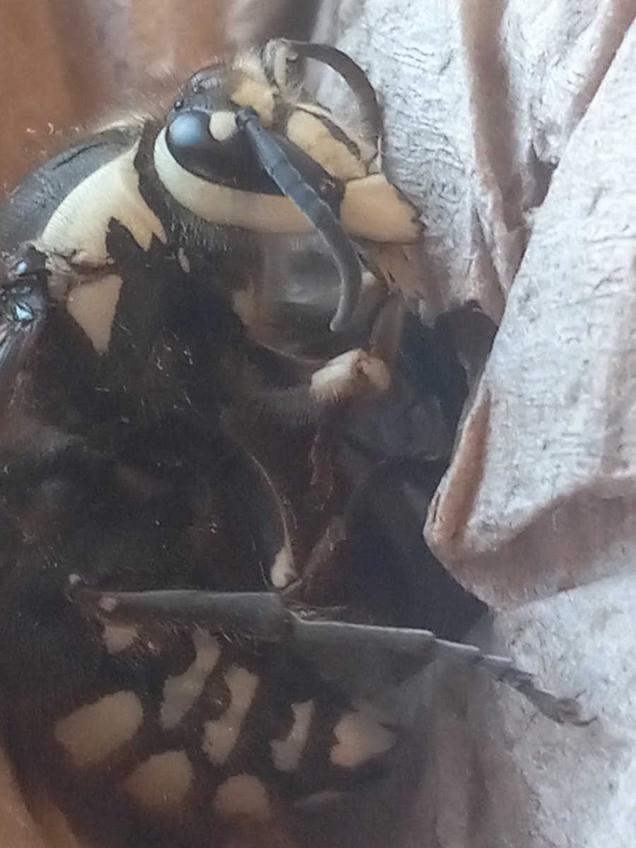 B0B076Ian2's tweet photo. Does anyone know what this is? https://t.co/Mjp7xSjfZN