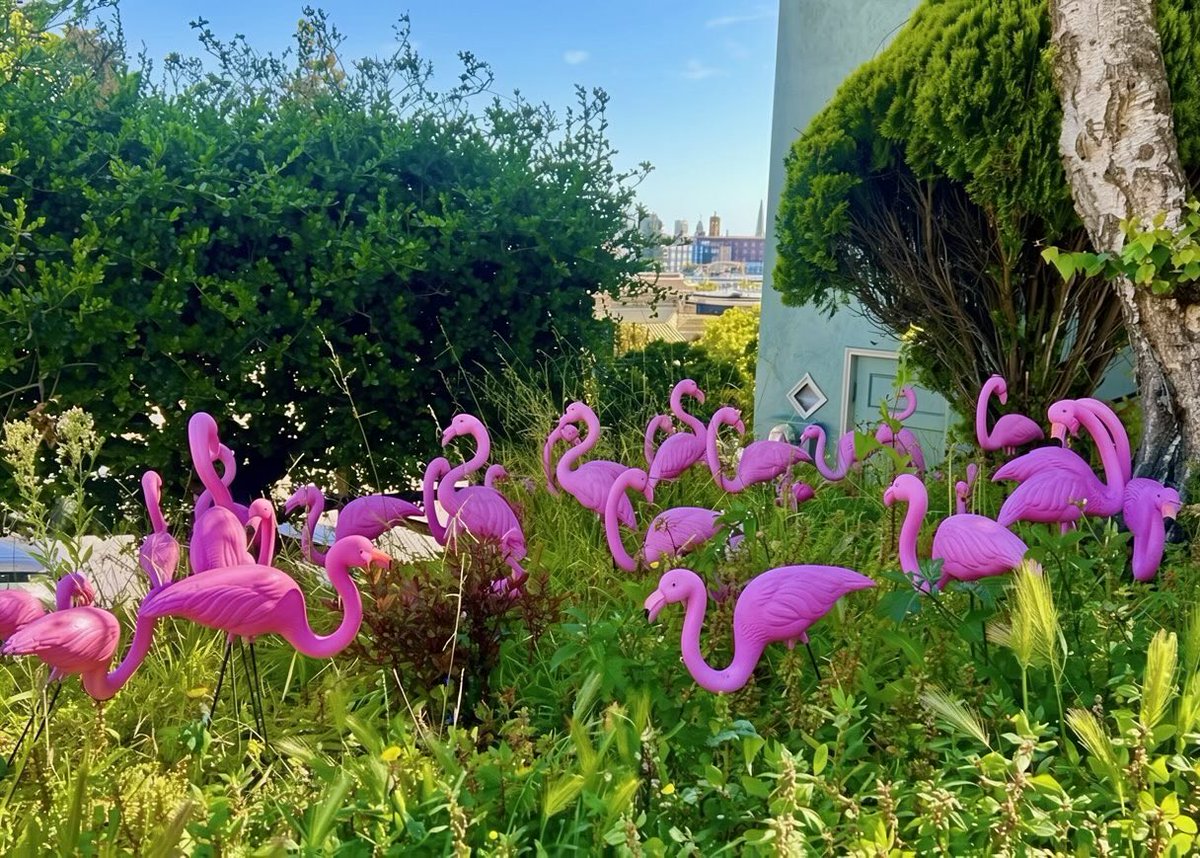 sandy_carter's tweet photo. Have a pink day!! https://t.co/uPNot39kpp