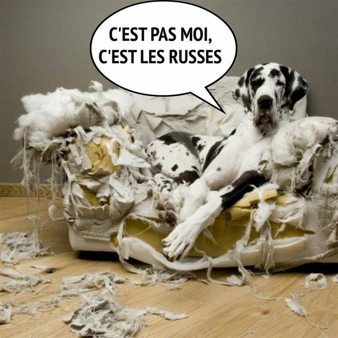 Jean Jacques Moire tweet media