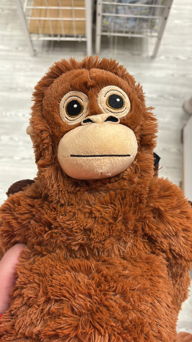 nicksvb's tweet photo. okay ich sag ehrlich is doch gar nicht so schlecht https://t.co/nlUQs4kC9I