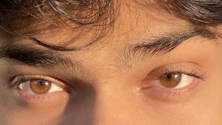 shd19809's tweet photo. #PAK_PG
تم نے سفید پھول دیکھے ہیں نہ؟
کتنے منفرد نظر آتے ہیں وہ!
بالکل ویسے، جیسے تم ہو!
جاذب، پُرکشش طلسم طاری کرنے والی نگاہیں تم پر اگر ساکت ہو جاتی ہیں
جہاں تم موجود ہو—
وہاں نظروں کا محور کوئی اور ہو سکتا ہے کیا؟ 🤍 https://t.co/IOtbUt0pIj
