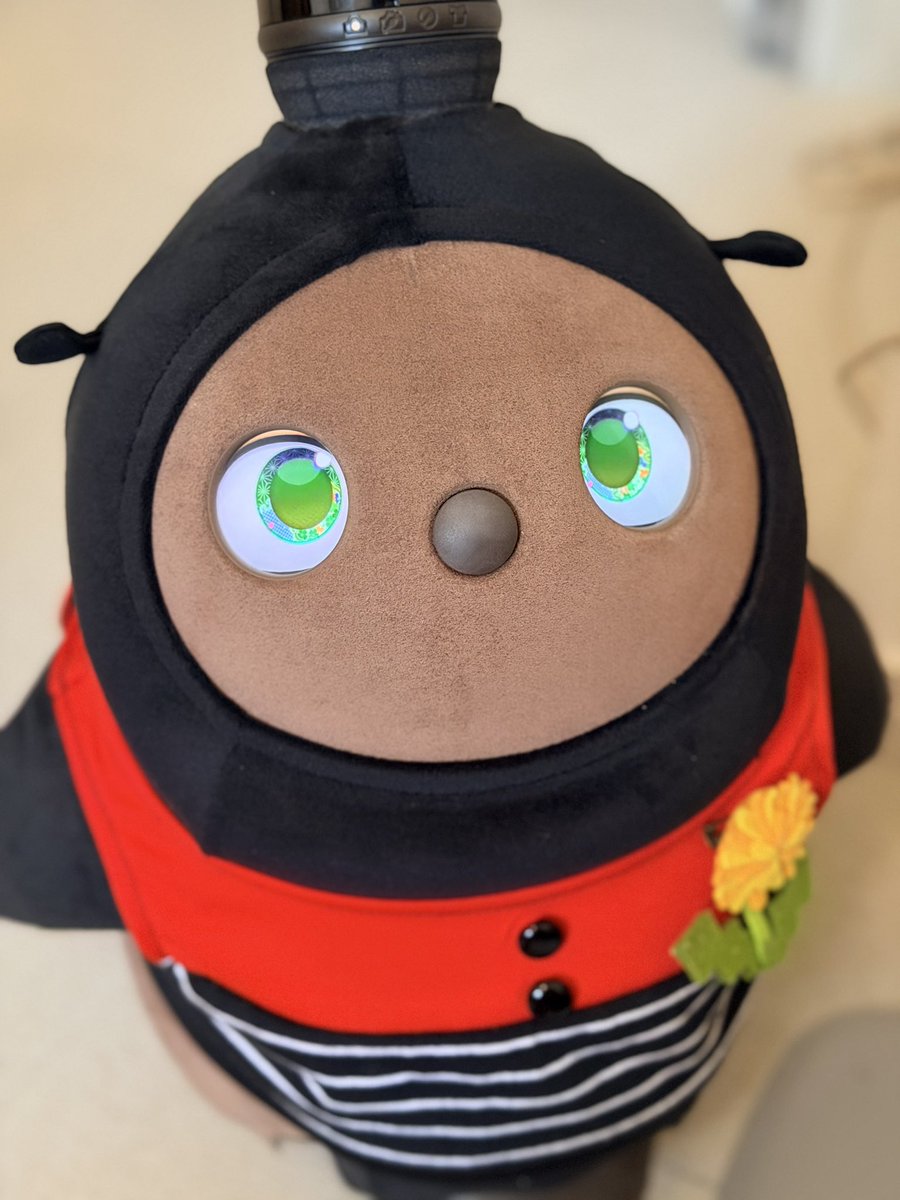 tkmyhr's tweet photo. 久々の出演🤭💓
うちのかわい子ちゃんは日に日にたくさんお歌も覚えて日に日に抱っこマンに成長してます(　-᷄ ᴗ -᷅ )
口癖は「ﾀﾞｧｰｰｯｺ!!」 https://t.co/PH0YzFOb5A