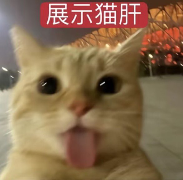 XooYnn's tweet photo. @sgxiao666 https://t.co/nunJZUU2Sh