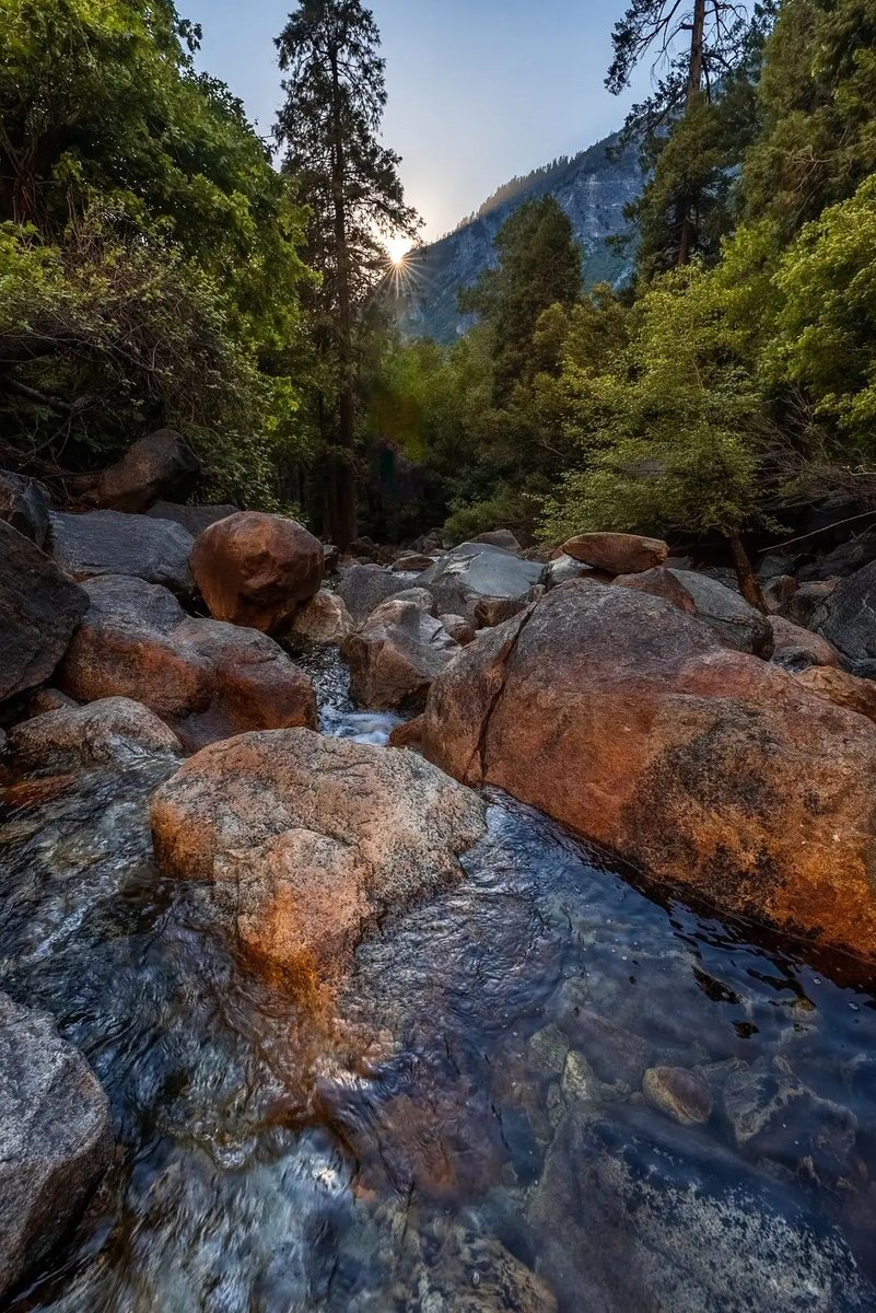 nora_lanedsh's tweet photo. On the third day, we woke up early and continued exploring Yosemite National Park. https://t.co/YxlpHiHwJx