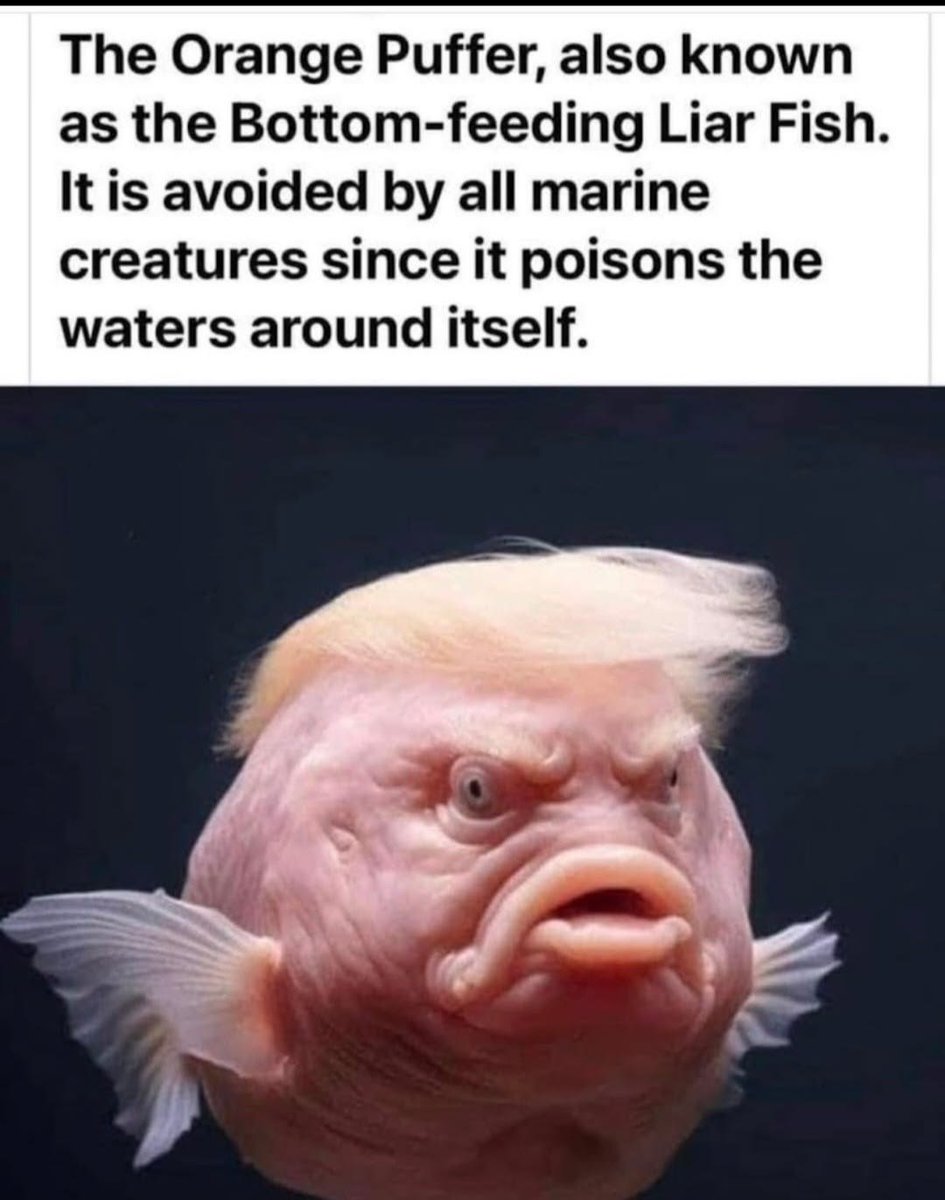 rbisrb's tweet photo. Scientific Fact of the Day... https://t.co/RaGm5rdVZt