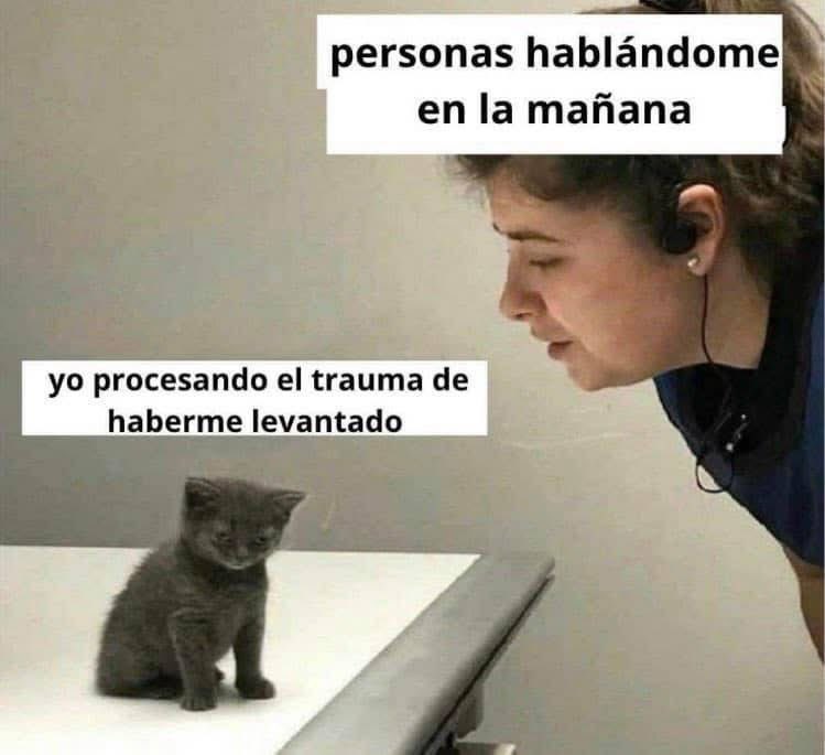 sergiohernndz's tweet photo. Yo toda las mañanas. https://t.co/jM9UjaLuCJ