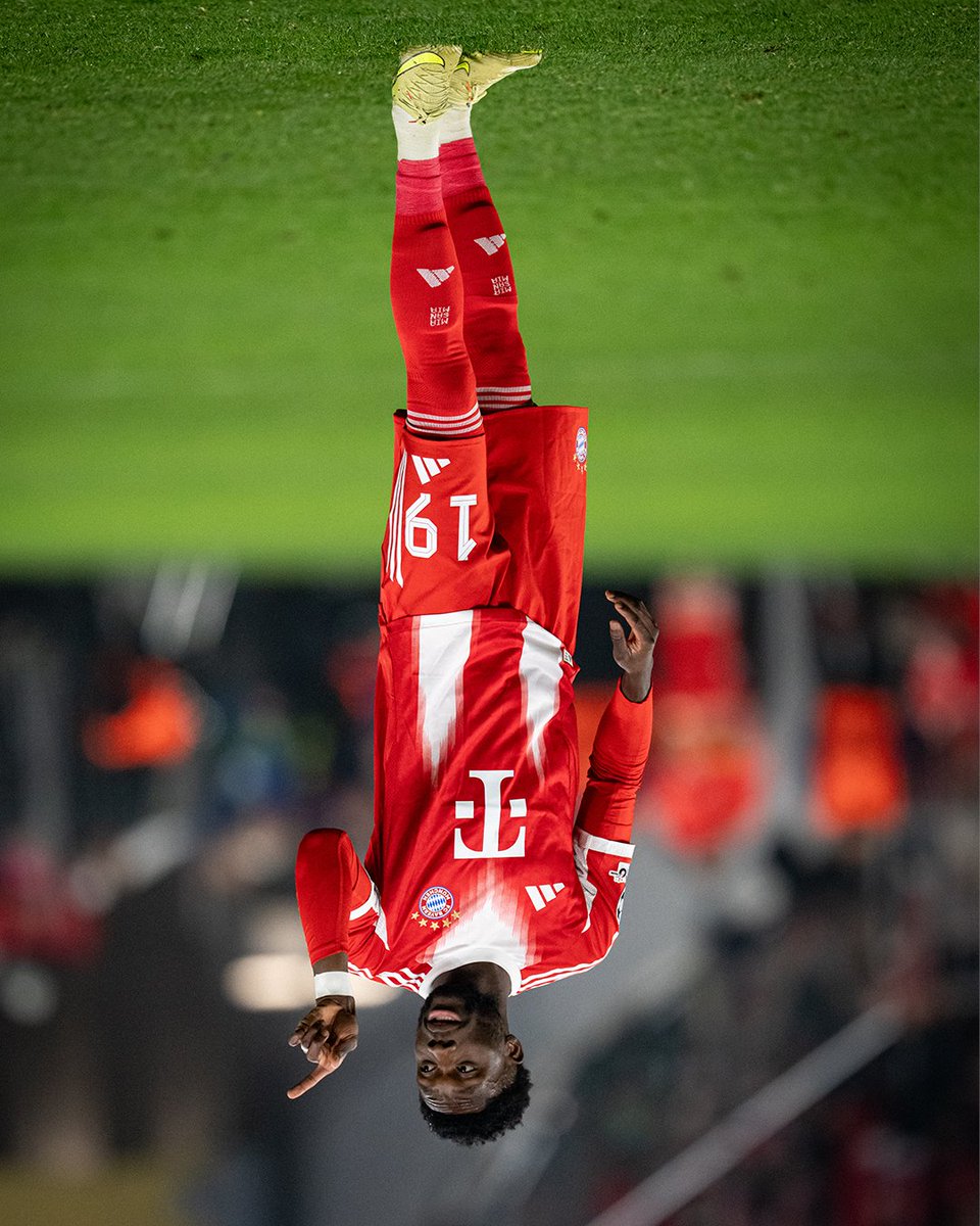 FCBayern's tweet photo. ˙ɟdoꓘ ʇɥǝʇs sǝןןⱯ ⬆️⬇️ https://t.co/E521w2LV4x