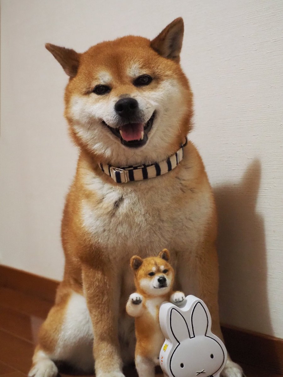 羊毛フェルト