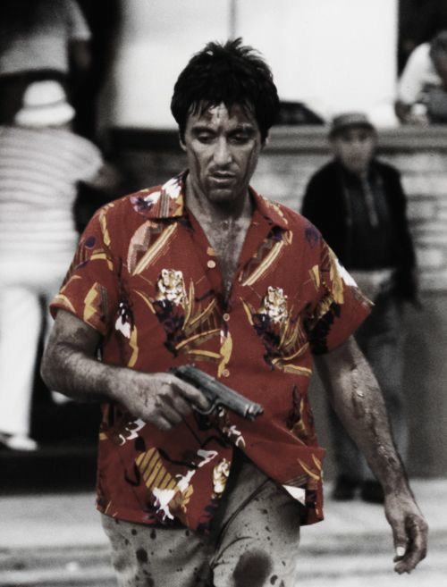 Gibboanxious's tweet photo. Scarface. https://t.co/7vTA1A7I3c