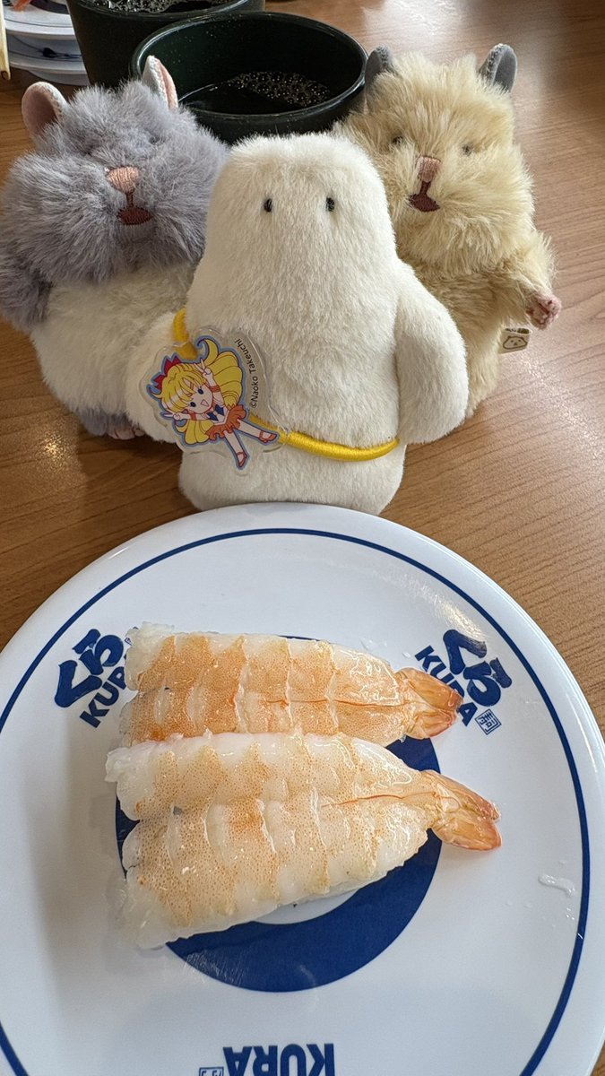 funiodayoo's tweet photo. フォーメーションはこうッ‼️ https://t.co/hZc171UBBA