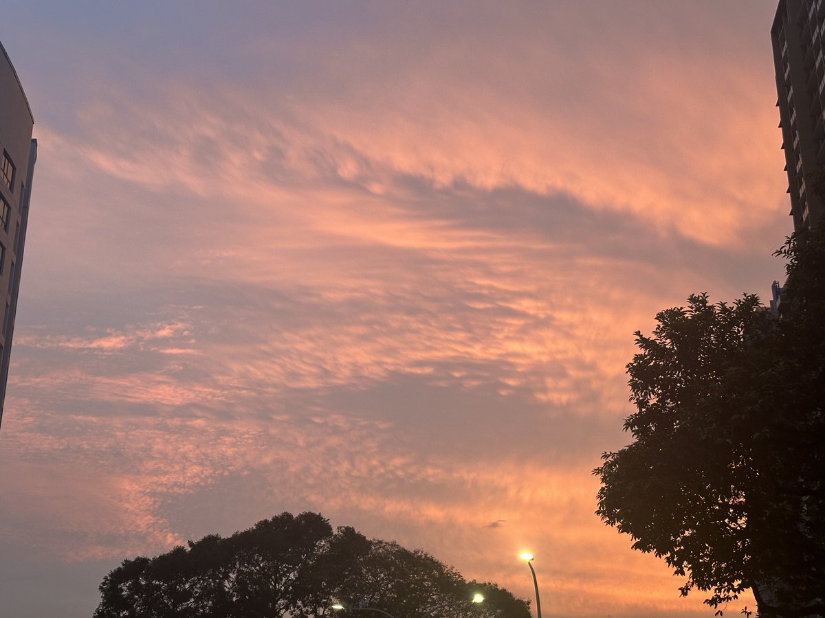 Kits's tweet photo. Banger of a sunset this evening in SG https://t.co/DUhcladedJ