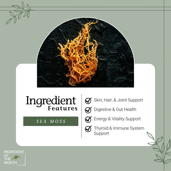 NativeRemedies's tweet photo. 🌿 Wellness starts with what you nourish your body with. 
Sea Moss is naturally rich in essential minerals and has long been used to support overall wellbeing, vitality, and daily balance. This ocean-sourced superfood is a simple way to add more nourishment into your routine. 💚 https://t.co/QB4ZXSnLki