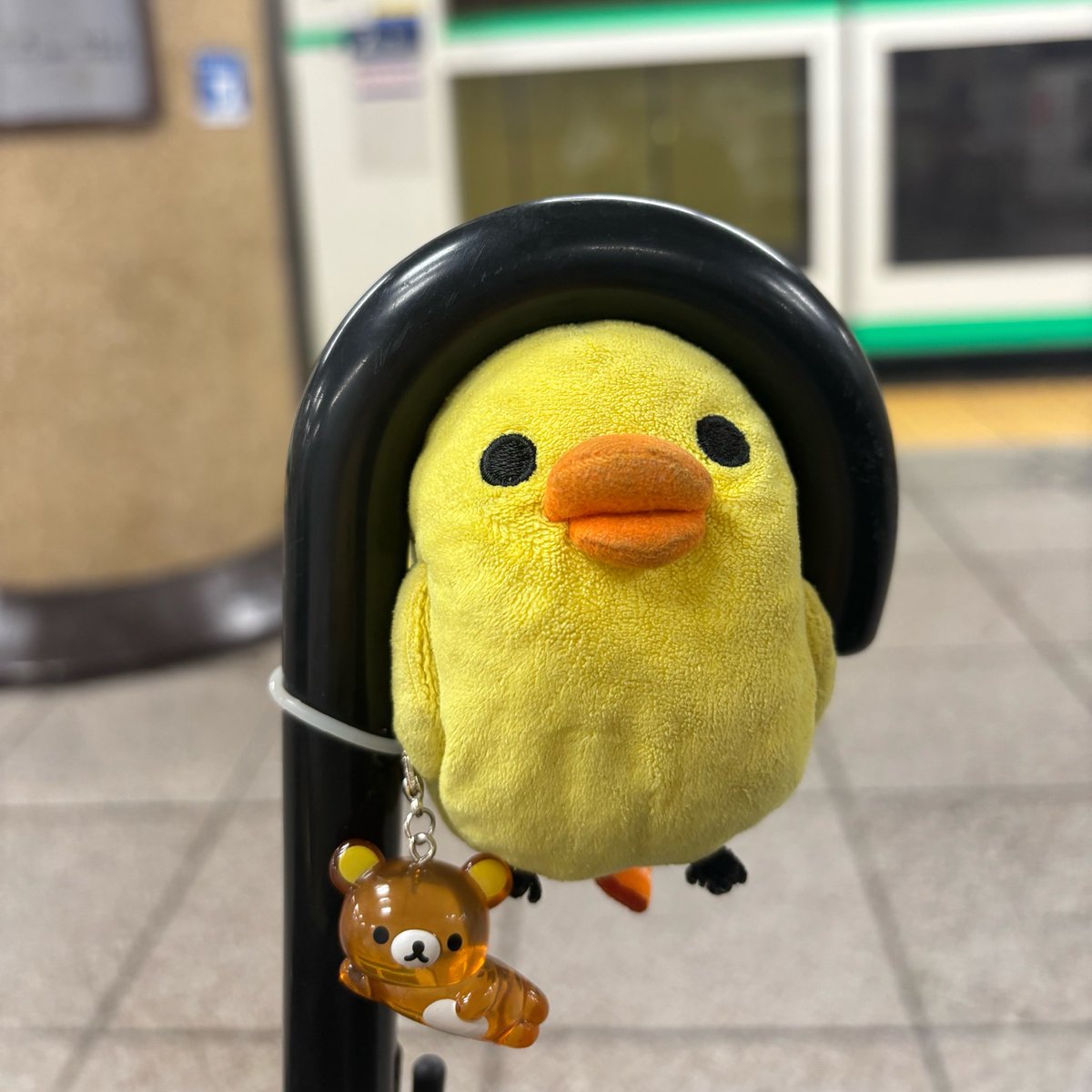 nuichao_o's tweet photo. 午後から外に出たらほぼ傘を使わず1日🌂 https://t.co/kYtglzYXhD