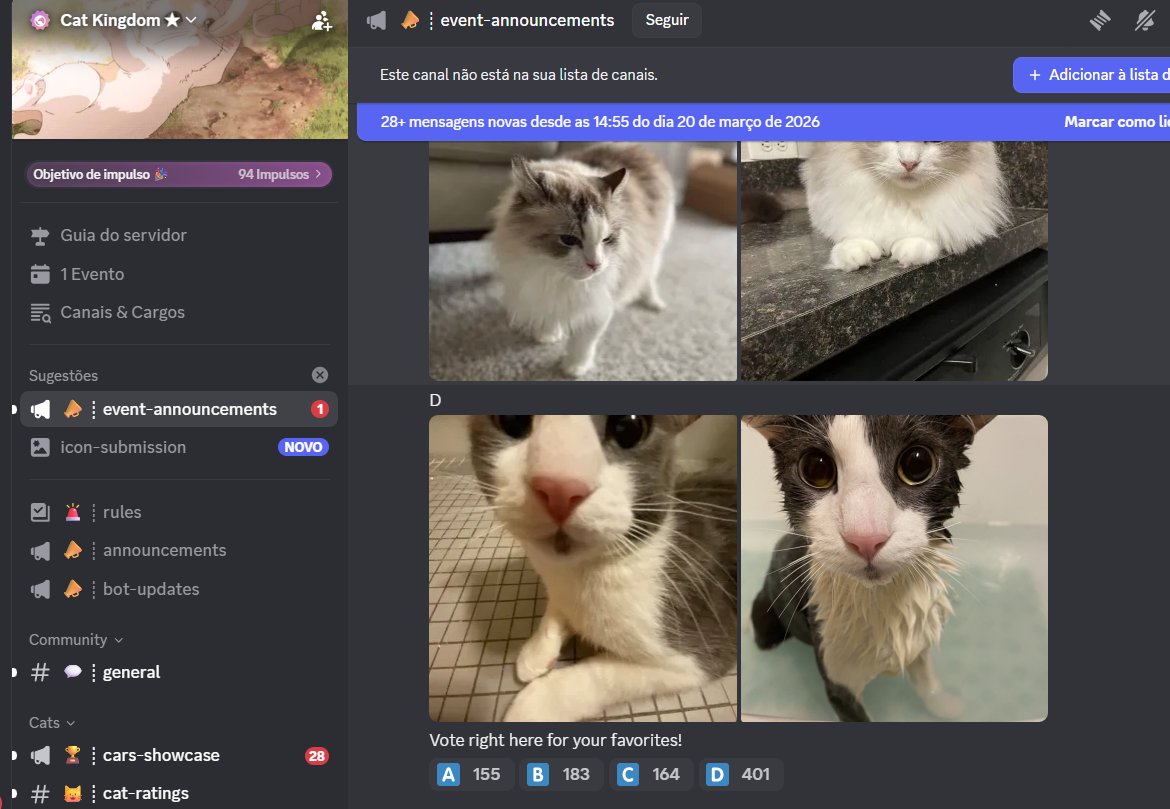 ImSenri's tweet photo. Fui entrar no discord e me deparo com uma gata parecida com a minha. O Gordinha verso se tornando real. https://t.co/NN1kydXNS7