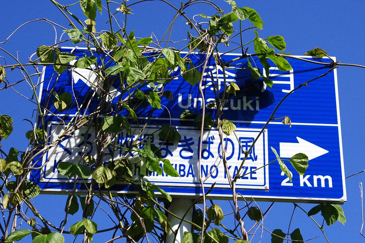 山さ行がねが】 2026年6月3日、道路レポ266「富山県道67号宇奈月大沢野