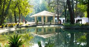 cbdhage's tweet photo. Public parks of Pune Series Part 1,
The Pune Metropolitan Region is exceptionally green for a major Indian urban center, boasting approximately 300 public parks and gardens. 
The Journey started with Empress Botanical Garden (1838),  first civic park established at Bund Garden Park (1869) by Sir Jamsetjee Jejeebhoy, PMC established  first park Kamla Nehru Park 1951. 

Pune-Okayama Friendship Garden (Pu La Deshpande Garden),  Saras Baug, Empress Botanical Garden,Baner-Pashan Biodiversity Park, Rajiv Gandhi Zoological Park are major Parks.

pc-Google