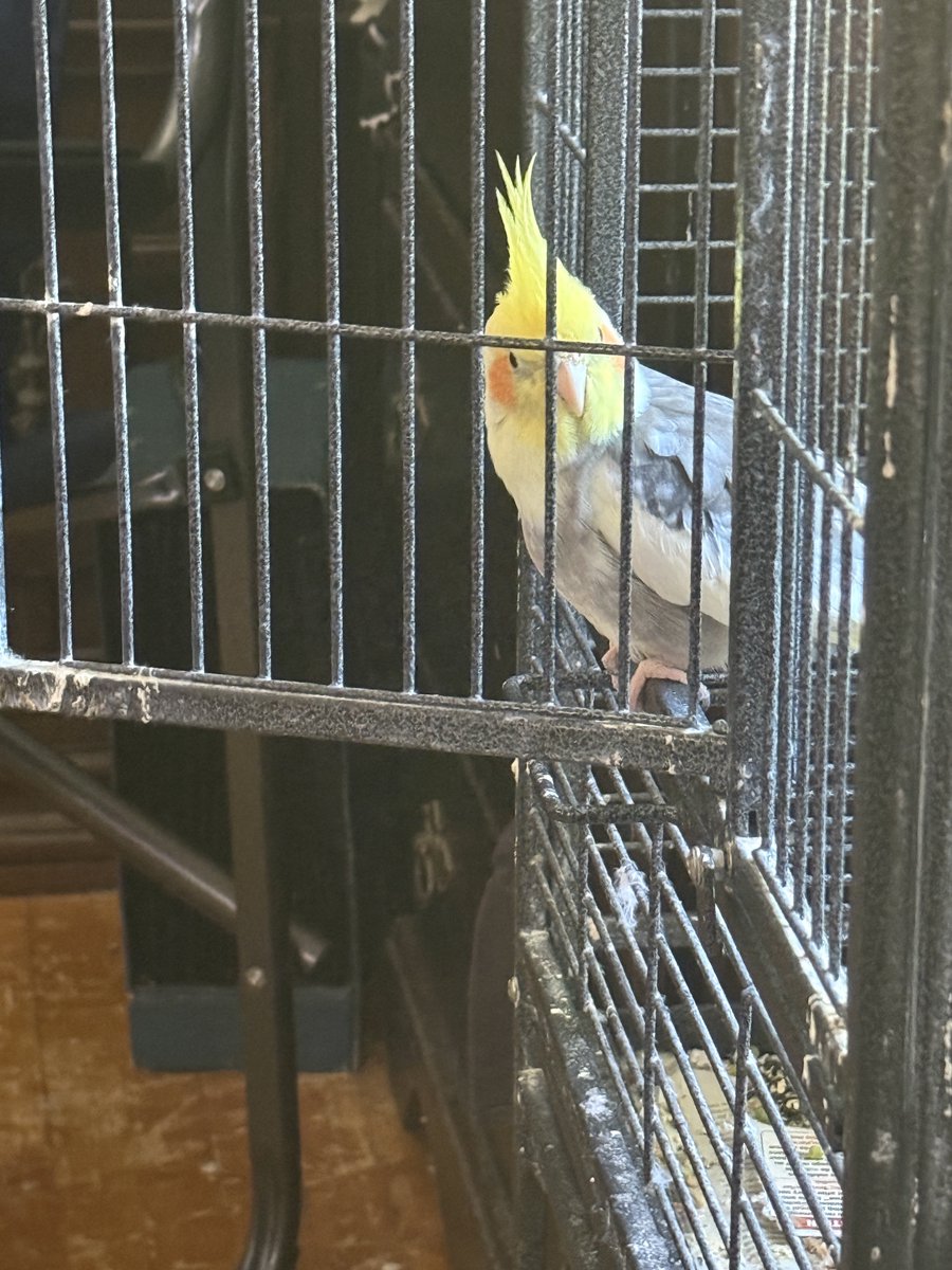 BillyTheTiel's tweet photo. He’s looking at my feet 🦶 https://t.co/6KdasTrZij