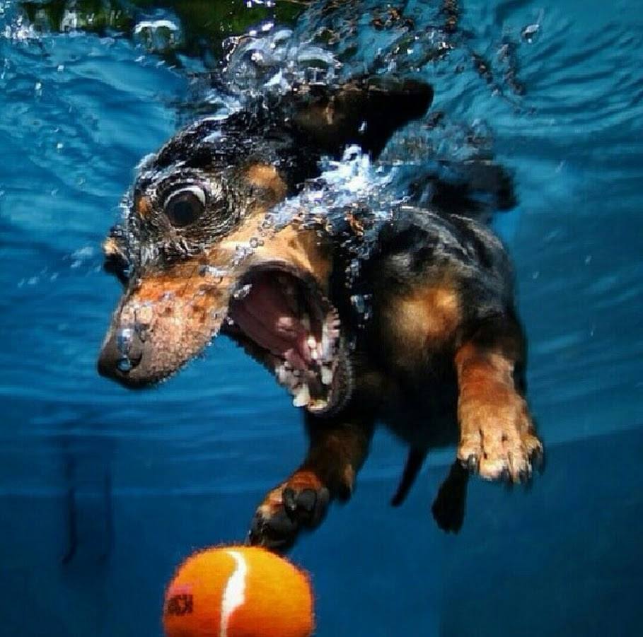 etcgraphics's tweet photo. At least part of becoming an Entrepreneur is simply the courage to go after what you want. Jump in. https://t.co/lQ2CoAObib