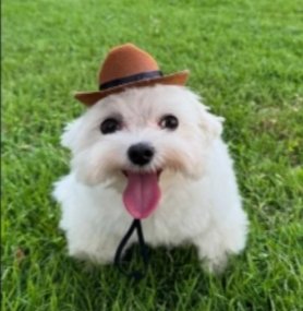 vidicalos's tweet photo. semana lotada mas meu coração é bom, minhas intenções são puras, to saudável, trabalhando e tentando cuidar dos meus. amo minha vidinha, domingo eu to de folga e segunda eu vou ver Ela com tempero de saudade então vamos viver tudo que há pra viver. https://t.co/tSln7Ewhh8