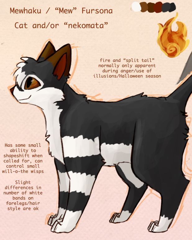 thecatscache tweet picture