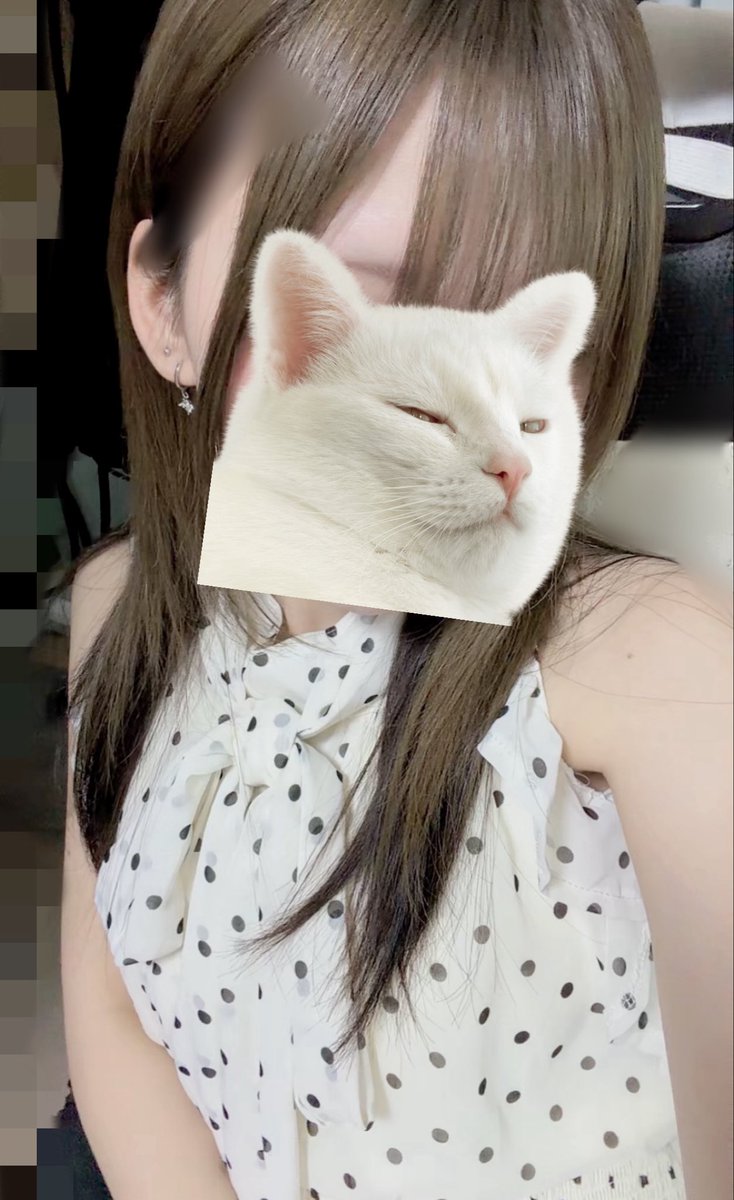 6erz3's tweet photo. （^-^）V https://t.co/kjq19TMUk1