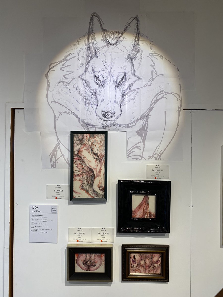 kunnpei0108's tweet photo. #KEMONart 戦利品紹介
食宮さん@hamiyaR18 のポストカード🐺
展示の約原寸大筋肉質オオカミの絵が、ライティングも相まってど迫力でした！！それぞれのカラーイラストの質感も唯一無二な工夫がされていて感服しました、、✨ https://t.co/9s5INP6QxG