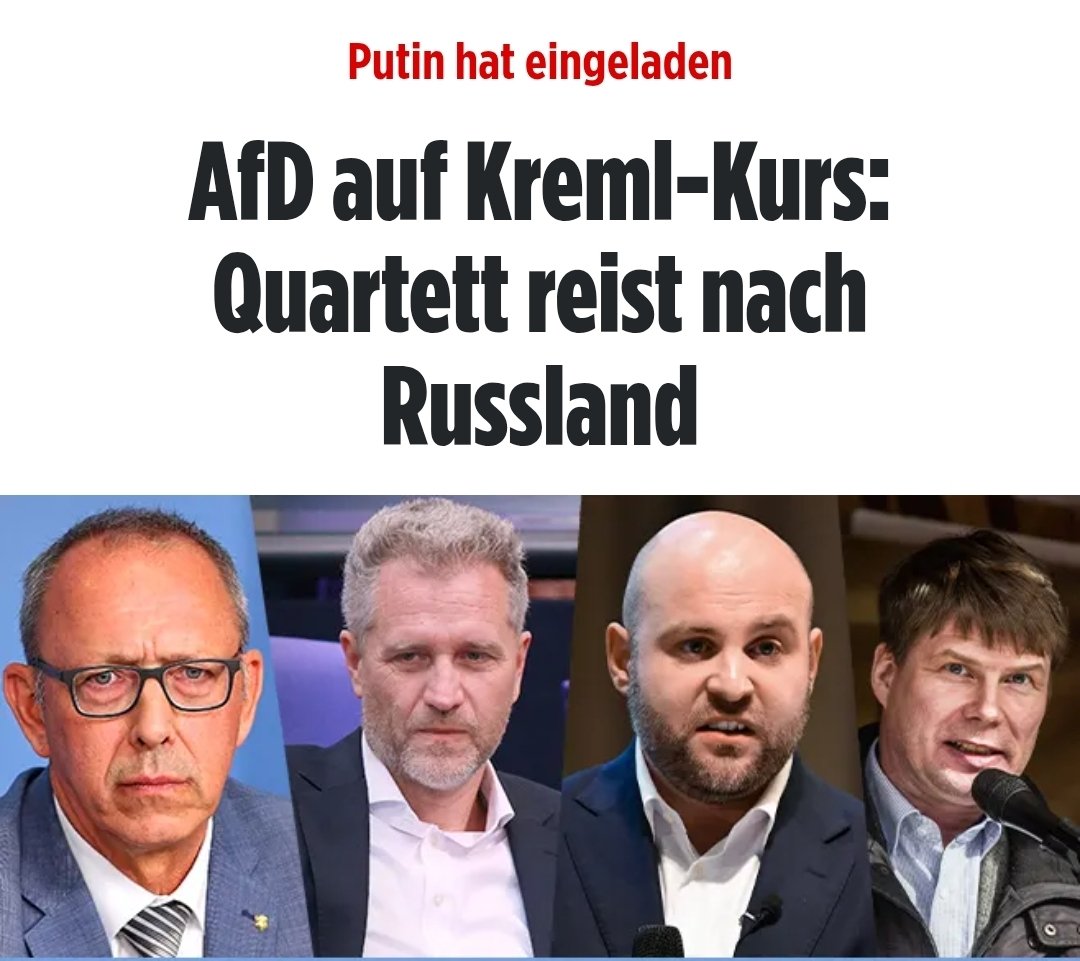 BNotaccount's tweet photo. @Frohnmaier_AfD Hey, Zwerg! 
Seit wann sind 25%  30%? Ich meine, dass Du weder Studium, noch Ausbildung hast, o.k., aber selbst im Rumänien sollten Kids diesen Unterschied ja wohl schon in der 2. Klasse Grundschule kennen, Cornel, oder? #AfDzerstörtDeutschland #AfDmachtDumm #AfDsindVerräter https://t.co/BbAz2I5kam