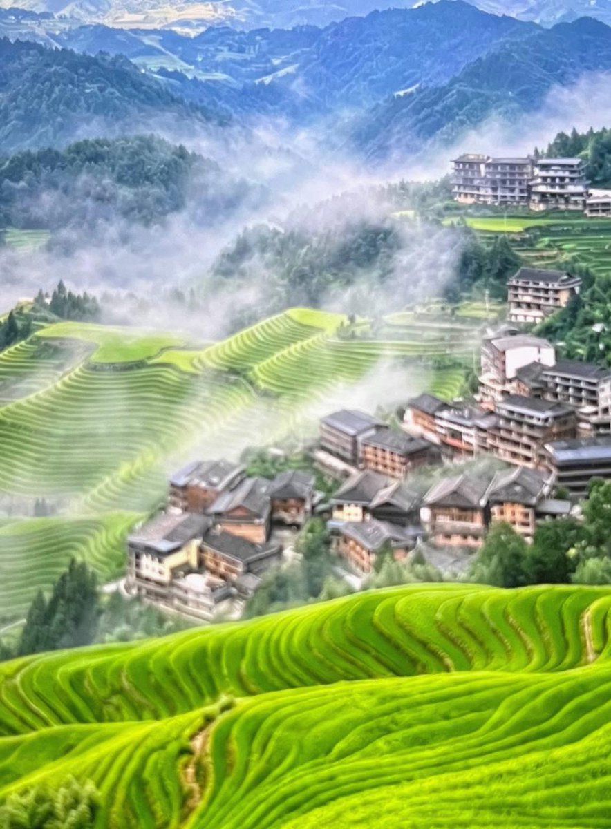 lonelyplanet_it's tweet photo. 有一天，顾淮忽然说要学游泳。林夏吓了一跳：“你都多大年纪了？”他振振有词：“年纪大才要锻炼身体。”拗不过他，林夏只好陪他去社区的游泳馆。他套着游泳圈在水里扑腾的样子，活像一只笨拙的企鹅。林夏在岸上笑得直不起腰，他假装生气：“笑什么笑，等我学会了游给你看。”可惜学了几天， https://t.co/DCaT2RVyVy