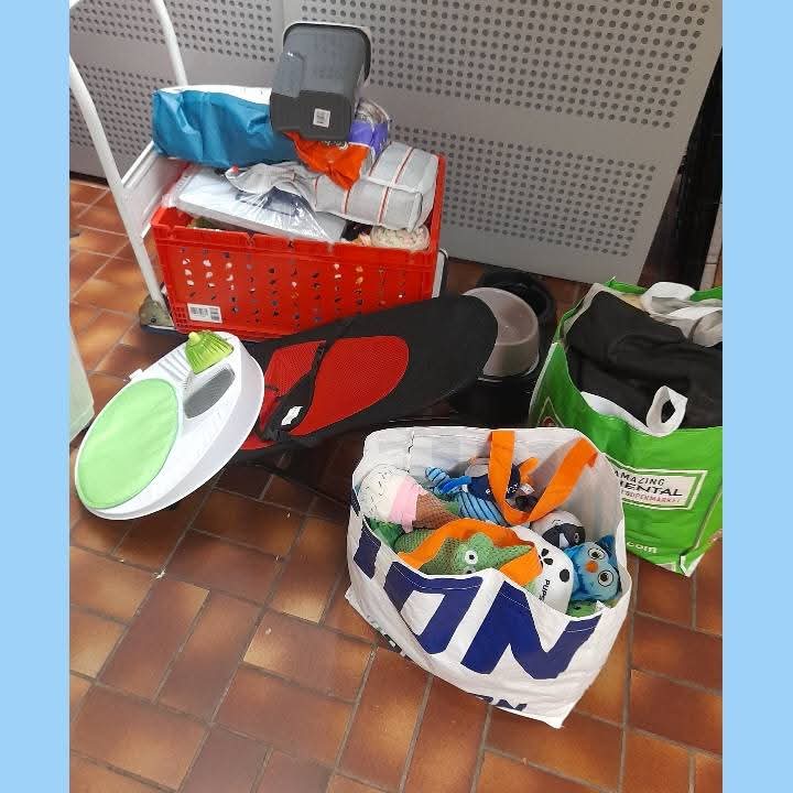 DierenvbUtrecht's tweet photo. Het regende zonnestralen deze uitgifte dagen.    De baasjes en hun huisdieren zijn weer blij met de voeding, benodigdheden en de fijne gesprekken bij ons.

Ook zijn er weer mooie donaties binnengebracht. Daar zijn we enorm dankbaar voor! https://t.co/WPGUlbmdrN