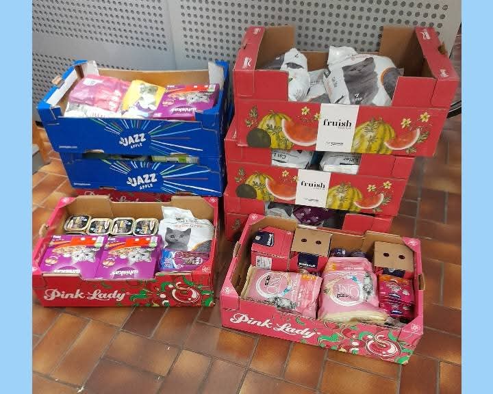 DierenvbUtrecht's tweet photo. Het regende zonnestralen deze uitgifte dagen.    De baasjes en hun huisdieren zijn weer blij met de voeding, benodigdheden en de fijne gesprekken bij ons.

Ook zijn er weer mooie donaties binnengebracht. Daar zijn we enorm dankbaar voor! https://t.co/WPGUlbmdrN