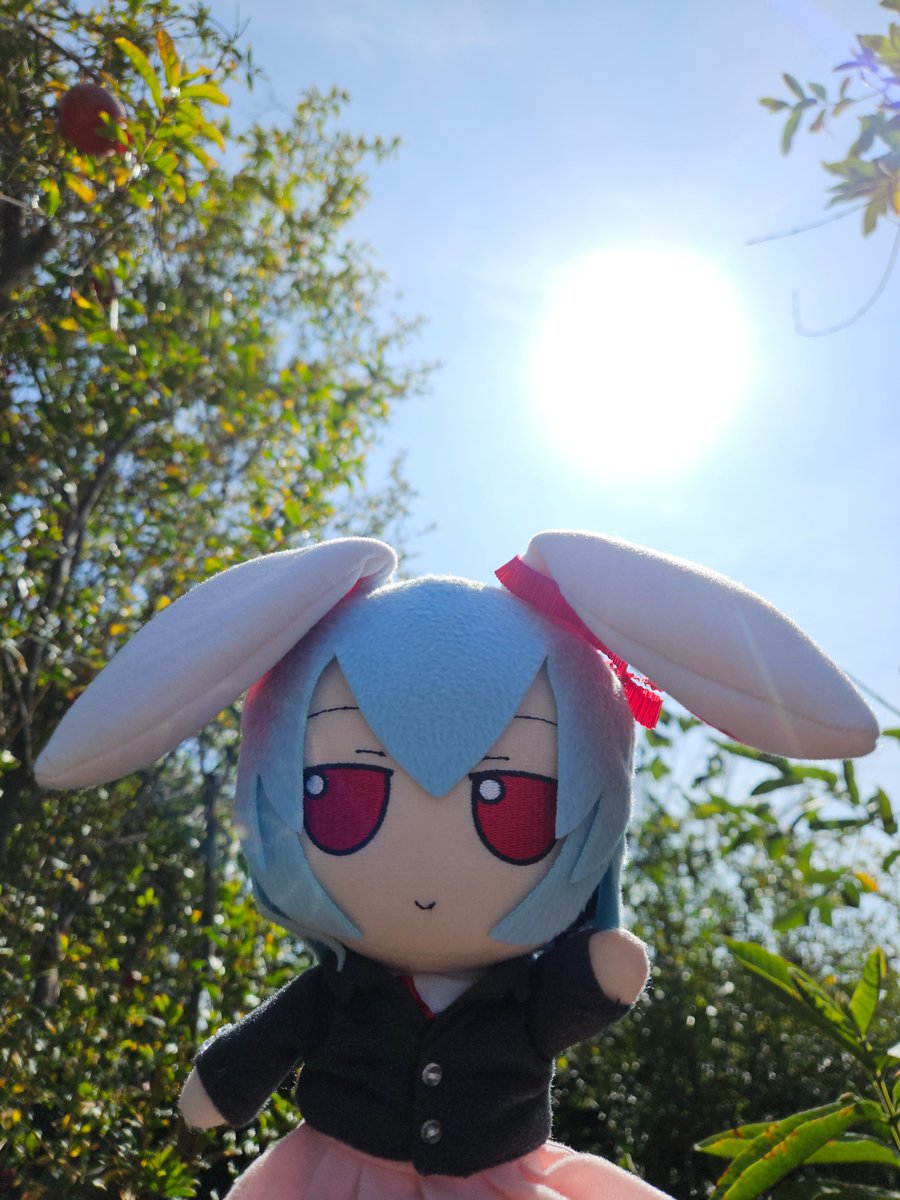 FreshMojaveMeme's tweet photo. Good morning bnuuy oomfs🌄🐇🐇🐇 https://t.co/kYPzYyGSSP