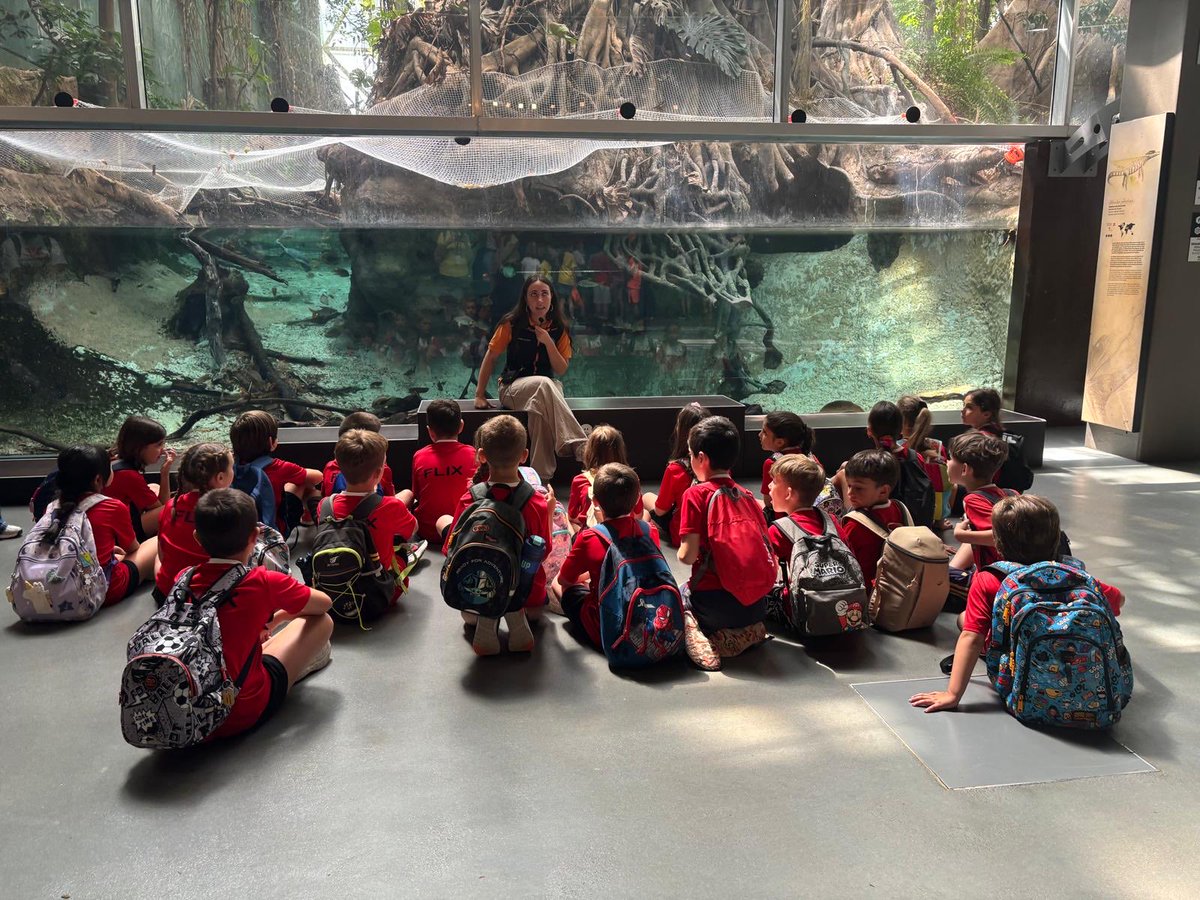 EscolaFlix's tweet photo. Avui la Comunitatbde Mitjans ha gaudit d’un dia ple de descobertes, experimentació, creativitat i molts aprenentatges al @CosmoCaixa_CAT de Barcelona. #STEAM https://t.co/ZvtwcaRwMa
