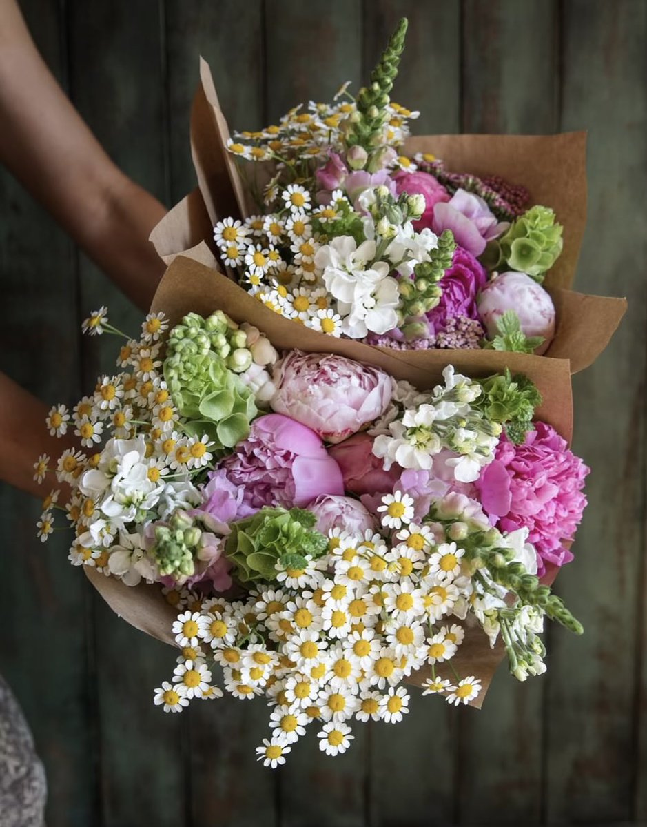 EvaLovesDesign's tweet photo. June 🌸 one of my favorite months https://t.co/Y5eGUPDqrR